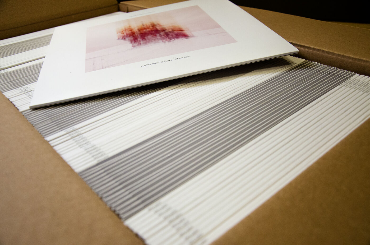 Printed sleeves in their box